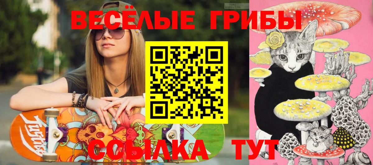 Когалым  Псилоцибиновые грибы ЛСД  Вход с VPN  Псилоцибиновые грибы ЛСД 